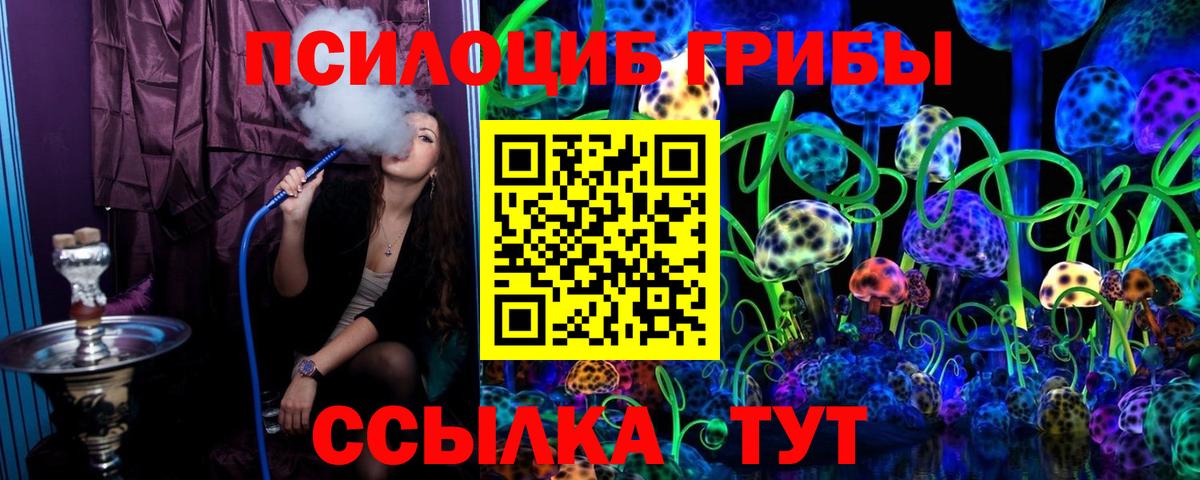 Псилоцибиновые грибы мицелий Димитровград