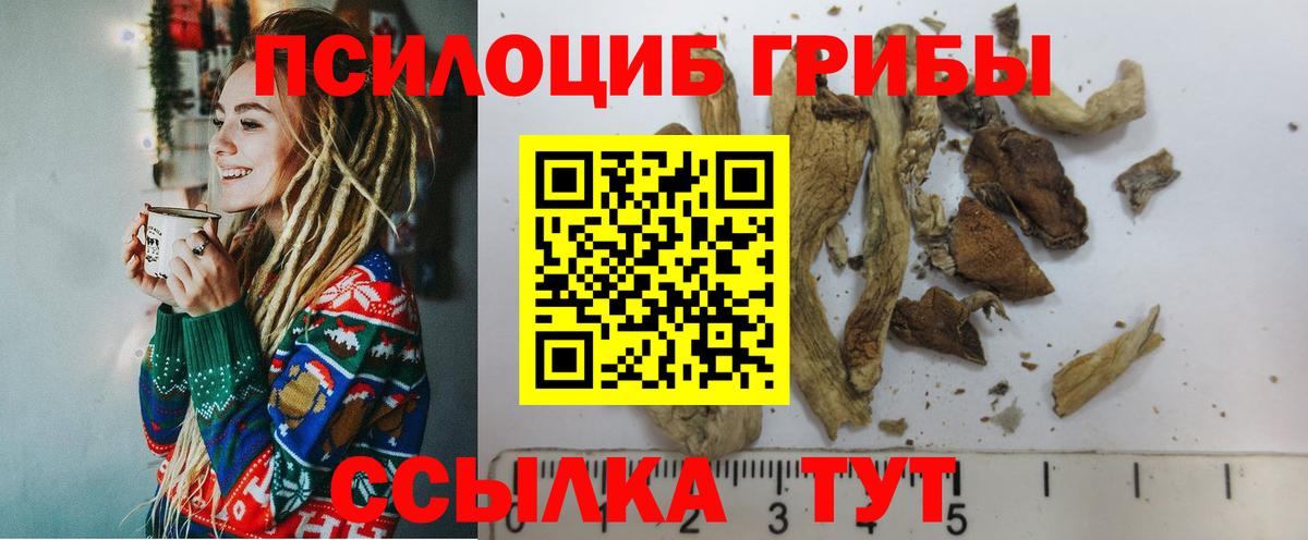 Псилоцибиновые грибы GOLDEN TEACHER  Вход с VPN  Димитровград 
